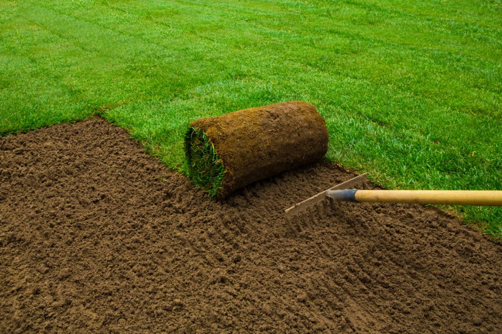 Partly unrolled roll of sod lying on freshly raked soil next to finished green lawn with a rake resting on the bare ground