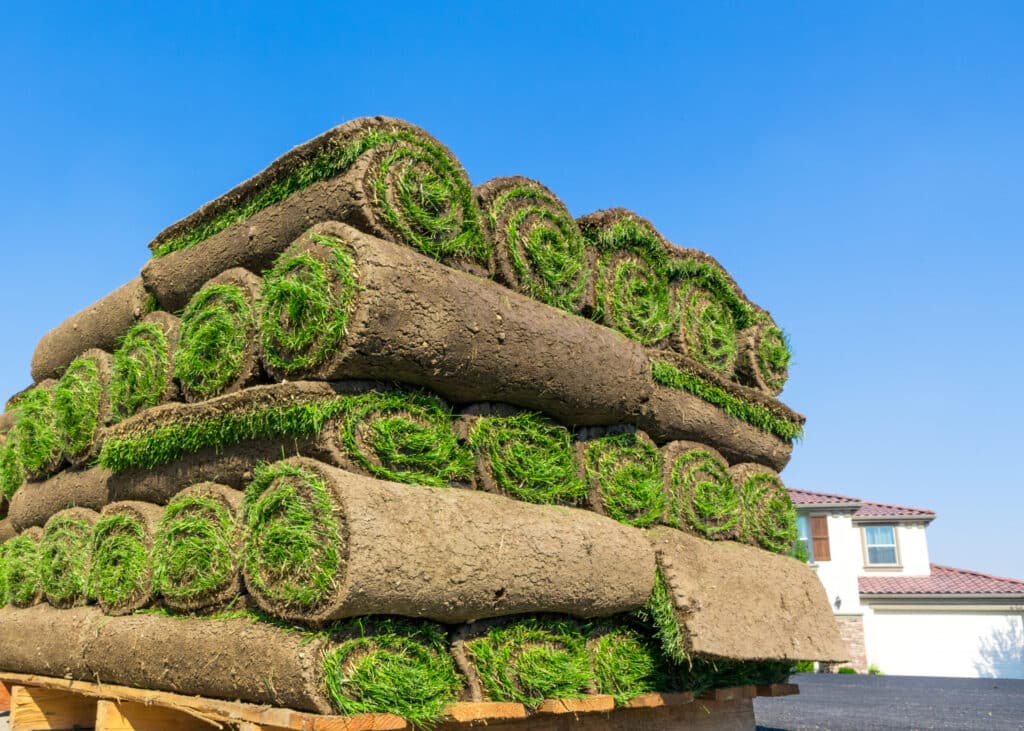 Rolls of fresh sod stacked several layers high on a wooden pallet in front of a house under a clear sky