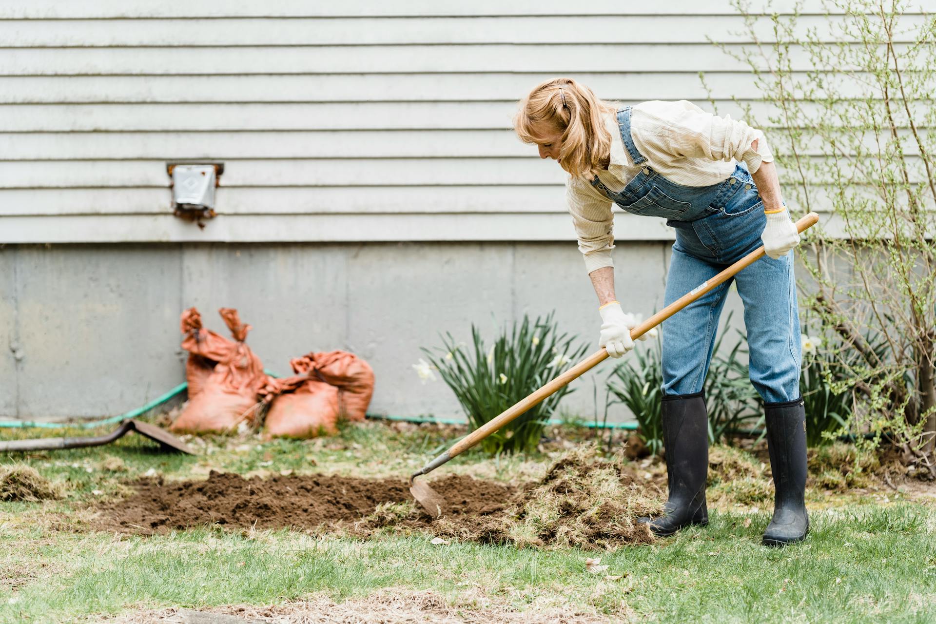 Person in overalls turning over and lifting strips of old turf with a spade in a residential back yard