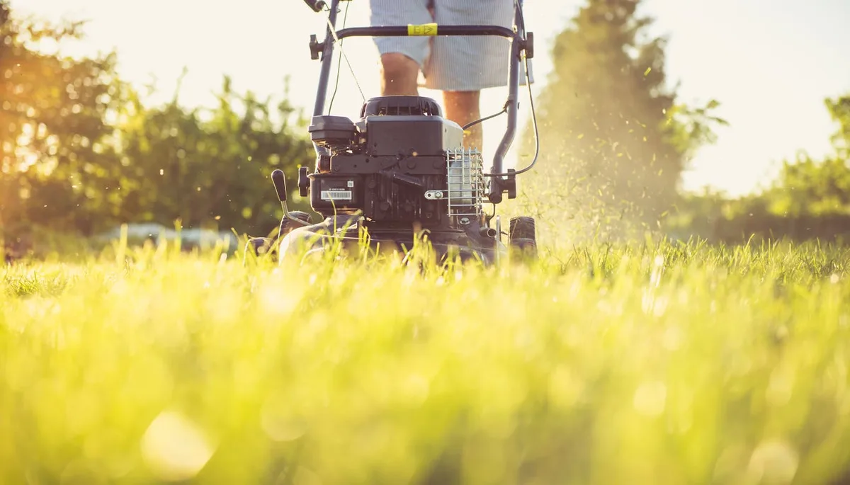 Person operating gas lawn mower for final fall grass cutting session