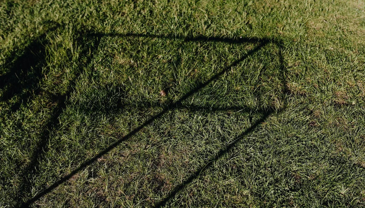 Green lawn with abstract tree shadow showing partial shade conditions for grass