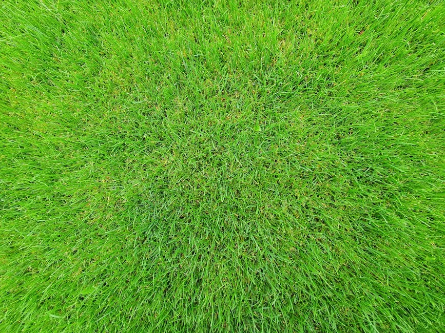 Completed sod installation showing a freshly transformed New Orleans yard