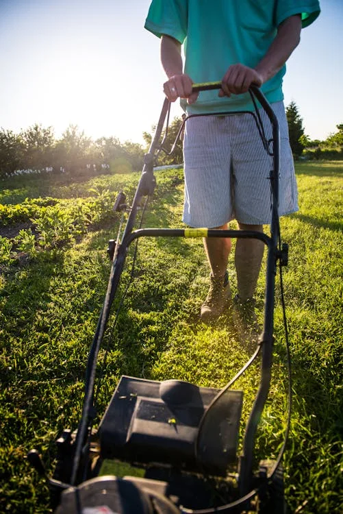 Man in shorts pushing gas lawn mower across sunny green residential lawn in summer