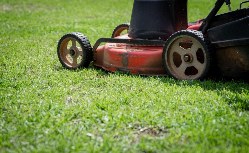 How to Fix a Patchy or Dying Lawn in New Orleans