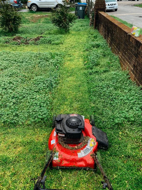 Red push lawn mower cutting visible straight path through vibrant green suburban backyard