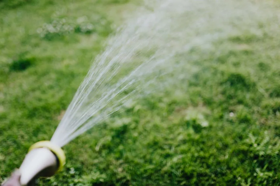 Homeowner watering new sod daily to encourage deep root growth after installation