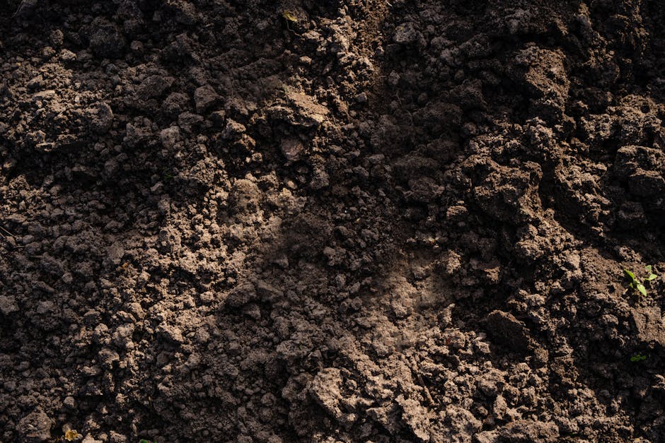 Close view of freshly tilled dark crumbly soil broken into loose clods ready for planting