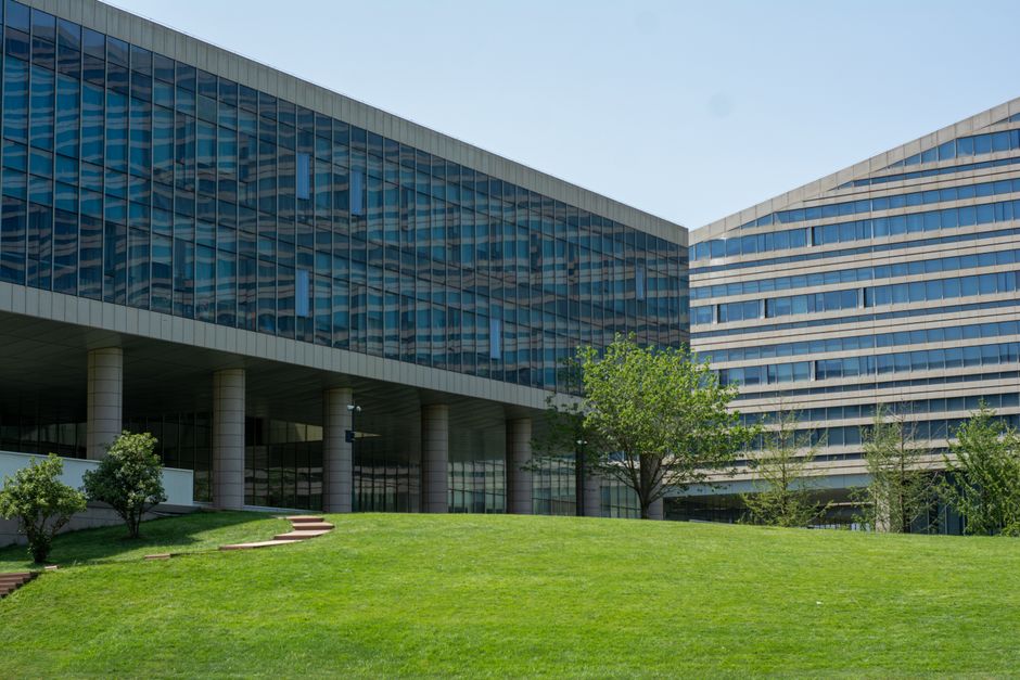 Commercial Sod Installation in New Orleans: What Businesses and Property Managers Need to Know