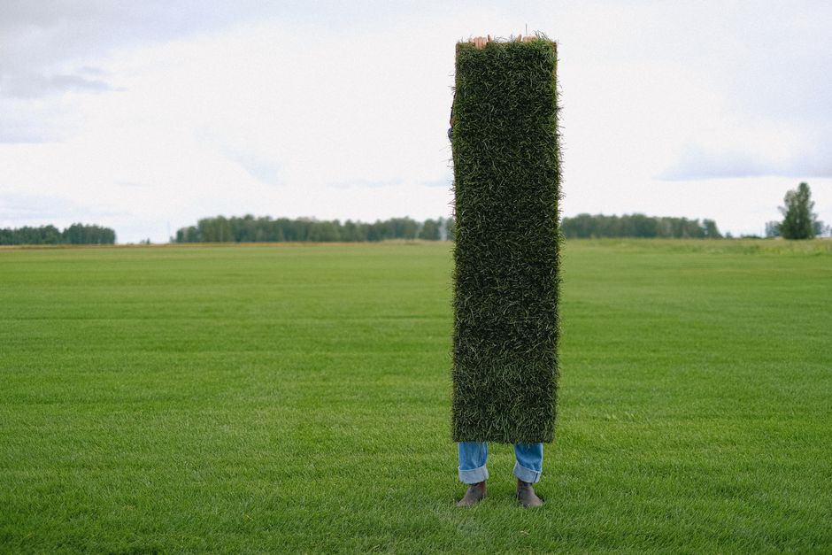 Landscaper carrying a fresh sod roll for a New Orleans yard install