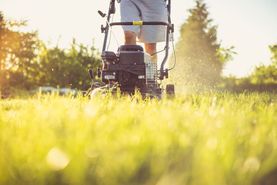 Homeowner mowing a New Orleans lawn during warm growing season