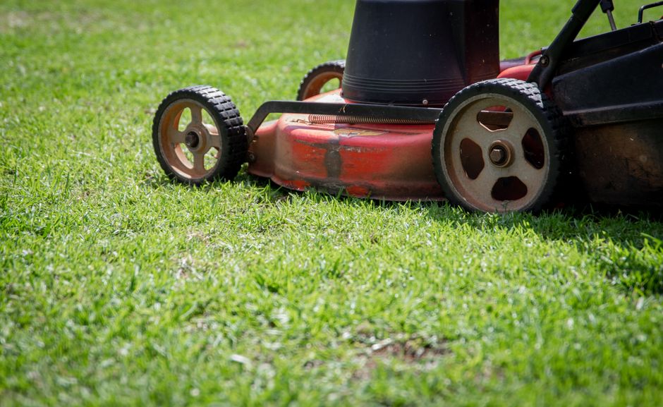 Push mower cutting fresh grass at the ideal blade height for St. Augustine
