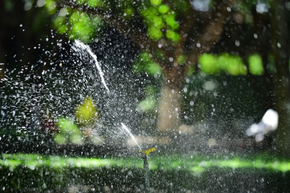 Garden sprinkler watering a lawn with water droplets caught in backlight