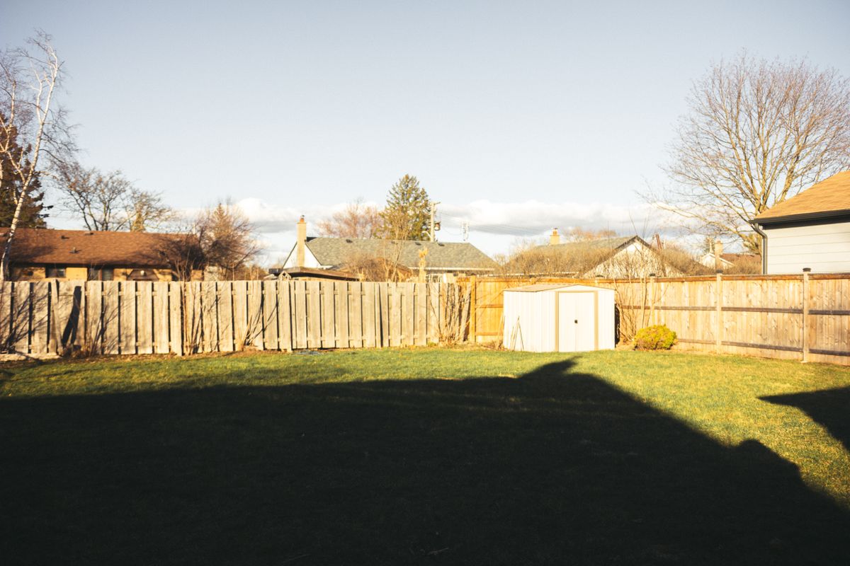 Established warm-season backyard lawn mid-growing season